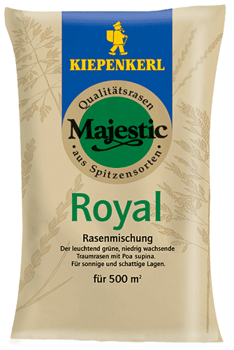 Kipenkerl Majestic Royal z Poa supina
