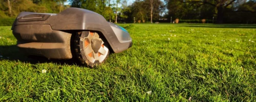 robotic lawnmower Jak zwalczać chwasty na trawniku
