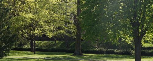 Czym i kiedy nawozić trawnik na wiosnę Czym i kiedy nawozić trawnik na wiosnę