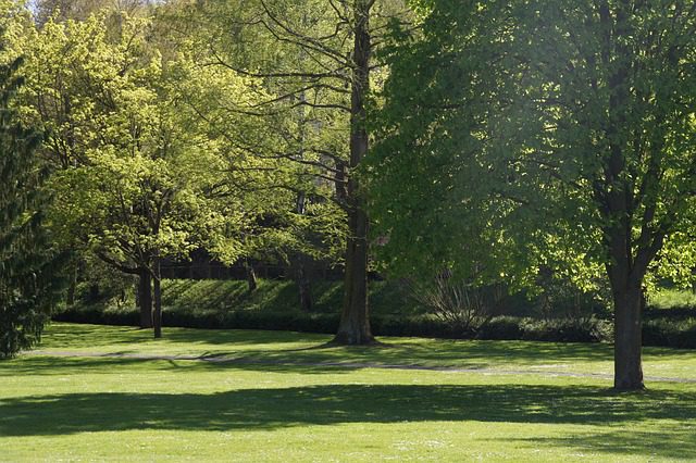 bad kreuznach 3403385 640