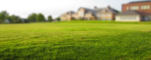 Równanie trawnika – jak skutecznie pozbyć się nierówności? Równanie trawnika